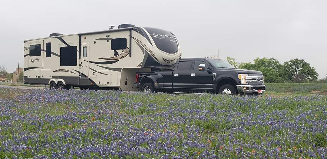 TX Bluebonnets in Spring